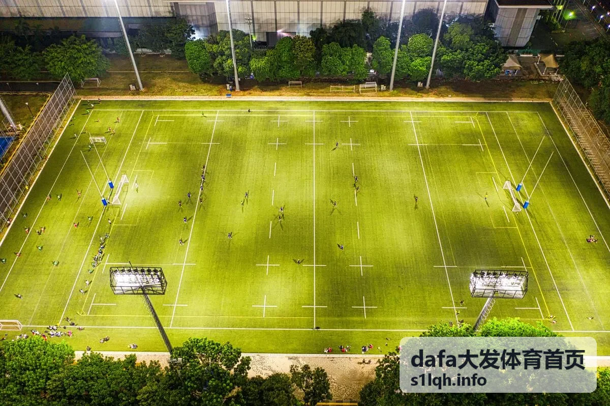 dafa大发体育首页平台使用指南